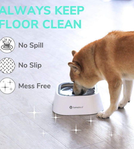 Dog Water Bowl, Dog Bowl No-Spill Pet Water Bowl 35Oz, Slow Water Feeder Dog Bowl, Vehicle Carried Dog Water Bowl for Dogs/Cats/Pets