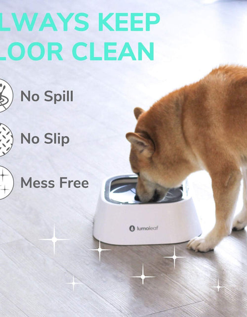 Load image into Gallery viewer, Dog Water Bowl, Dog Bowl No-Spill Pet Water Bowl 35Oz, Slow Water Feeder Dog Bowl, Vehicle Carried Dog Water Bowl for Dogs/Cats/Pets
