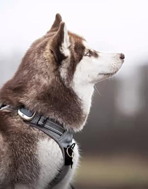 Load image into Gallery viewer, Adjustable No-Pull Dog Harness Reflective Pup Vest Harnesses Comfortable Control Brilliant Colors Truelove Tlh5651(Gray,L)

