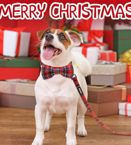 Christmas Buffalo Dog Collar and Leash Set, Classic Plaid Collar with Removable Bowtie and Matching Leash for Large Dogs