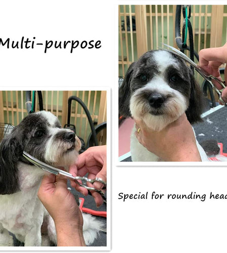 Curved Scissors for Dog Grooming,6.5 Inches,Safety round Tip Design. (Ball-Tip)